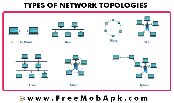 Types of Network Topology