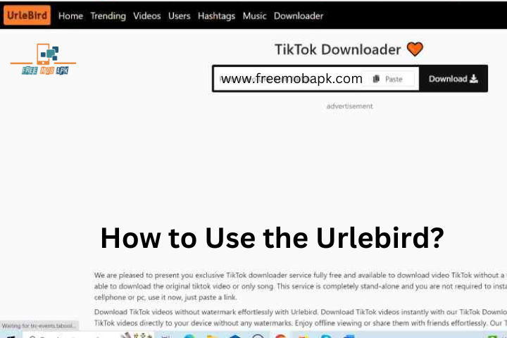 How to Use the Urlebird?